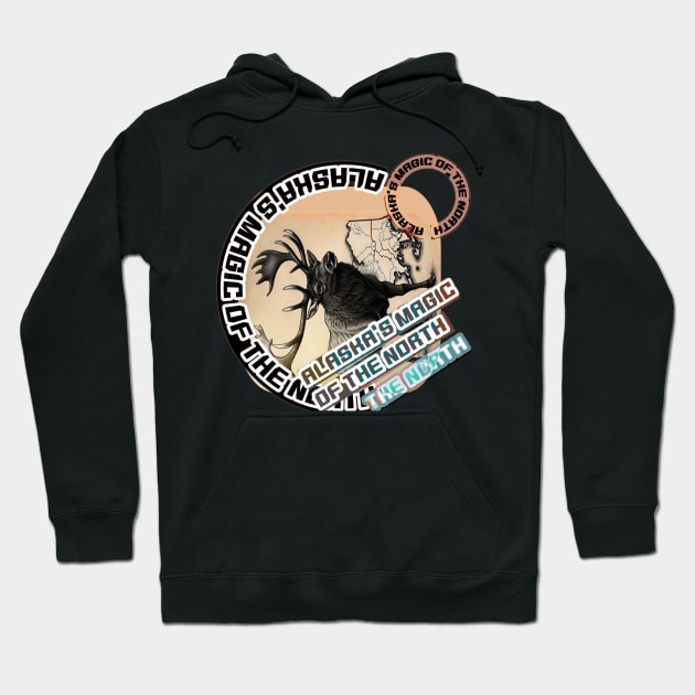 Alaska's Magic of the North Hoodie by Human light 